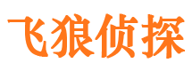 顺河市出轨取证